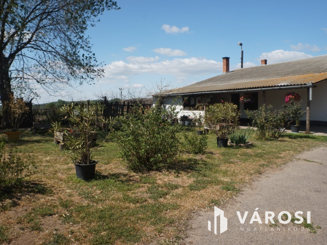 Önellátó családi gazdaság Nagykőrösön