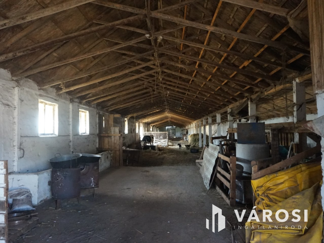 Önellátó családi gazdaság Nagykőrösön