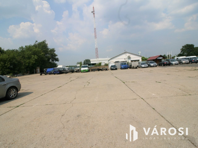 Kereskedelem-vendéglátás Hódmezővásárhelyen