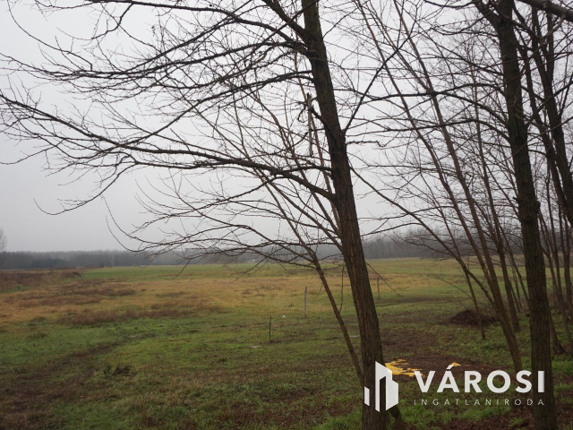 Modernizált tanya akár több generáció részére is eladó!