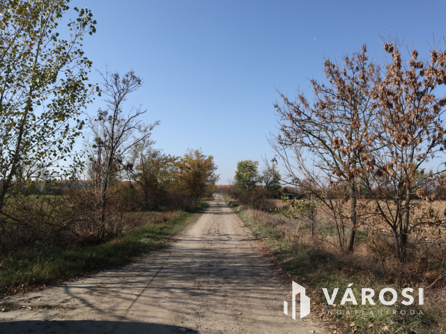 Többcélú hasznosításra alkalmas gazdasági ingatlan!