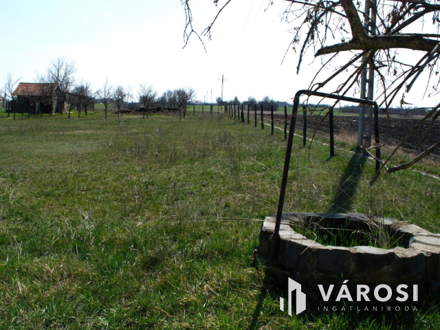 Gazdálkodóknak, életmódot váltóknak nagyszerű lehetőség