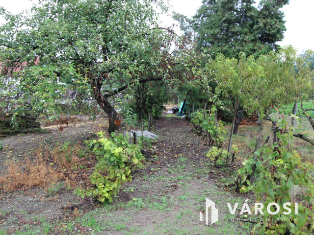 Napfényes mezőgazdasági terület 3000m2-en, Szatymazon eladó