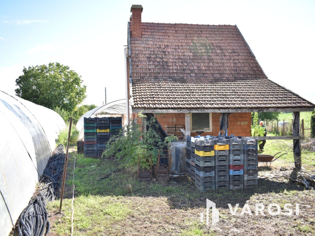 Kiváló lehetősség termelőknek!