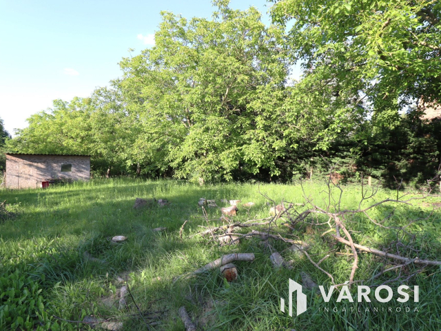 Diófák sokasága, eladó telek Töltéstava