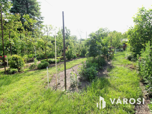 Édenkert Szeged kedvelt üdülő övezetében