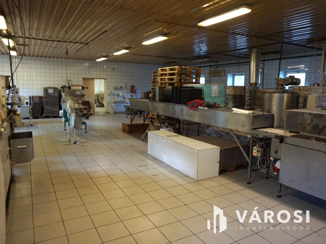 Élelmiszer feldolgozó ár alatt kiadó!