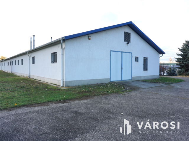 Élelmiszer feldolgozó ár alatt kiadó!