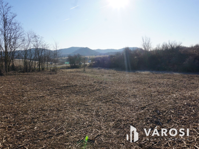 A lehetőségek telke Budakeszin ár alatt!