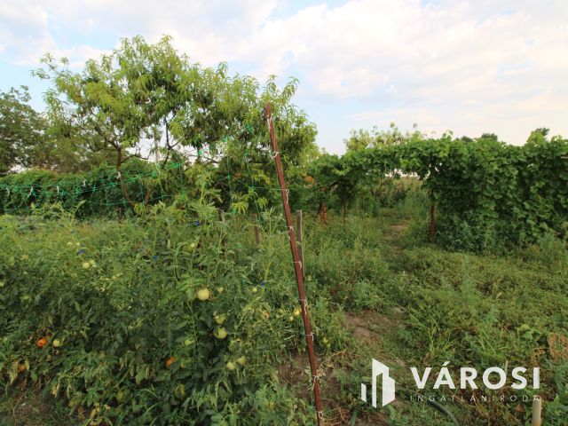 Almáskertekben 4 zárt kert egyben