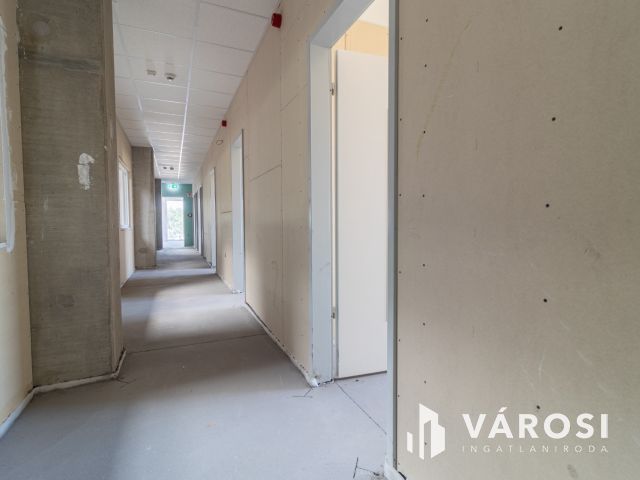 Új építésű ipari ingatlan Dabason kiadó