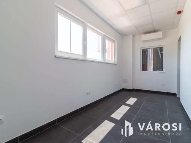 ÚJ ÉPÍTÉSŰ IPARI INGATLAN DABASON KIADÓ