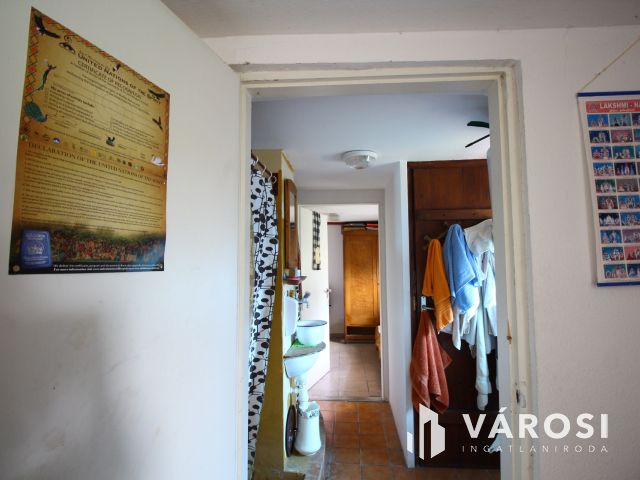 Madárcsicsergős tanya, nagy telekkel