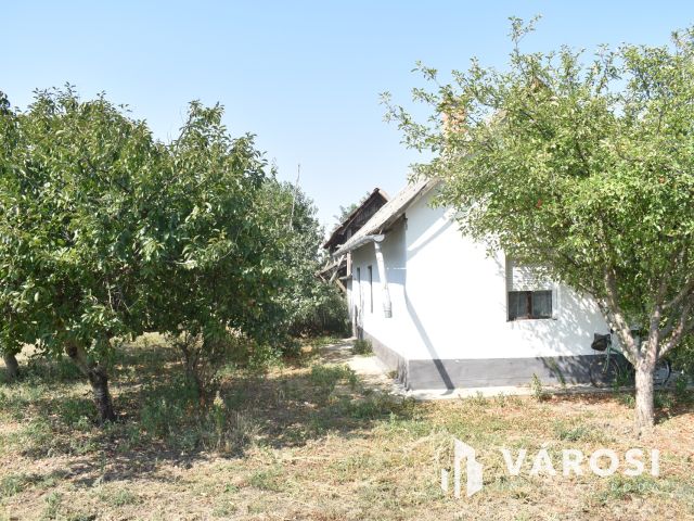 Minden egy helyen, egy igazi tanyán!