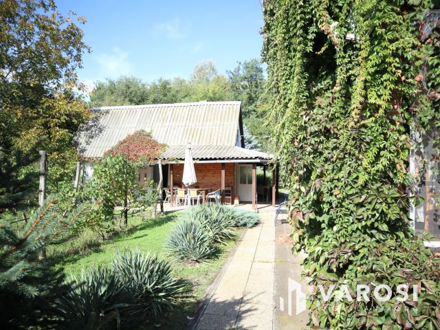 Szatymazi családi ház erdővel!