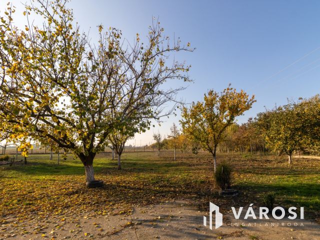 Többcélú hasznosításra alkalmas telek, jó helyen!