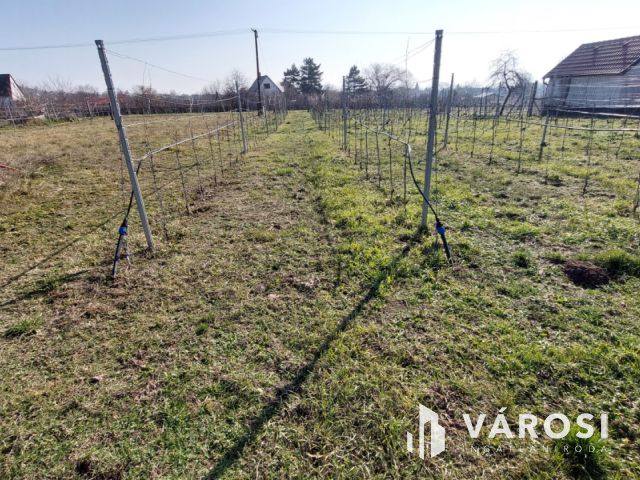 Megosztva 2 ház építésre is alkalmas zártkert Kővágóörsön