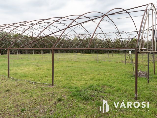 Bordányi kiskertek Eladók Fóliaházakkal