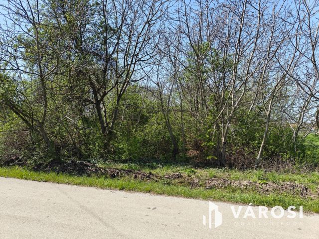 Eladó telek, Makón a Tatár utcában!