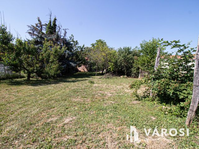 Belváros közeli udvari lakás zöld területtel, 2 garázzsal