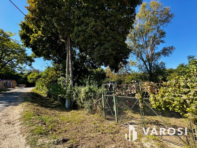 Telek, ahol az ötletek otthonra lelnek!