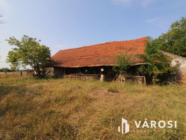 Sándorfalvi úton lévő tanya, közel 100 000 nm-en.