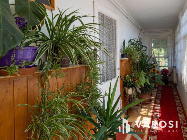 Családi ház Jaminában, nappali+3 szobával,nagy kerttel