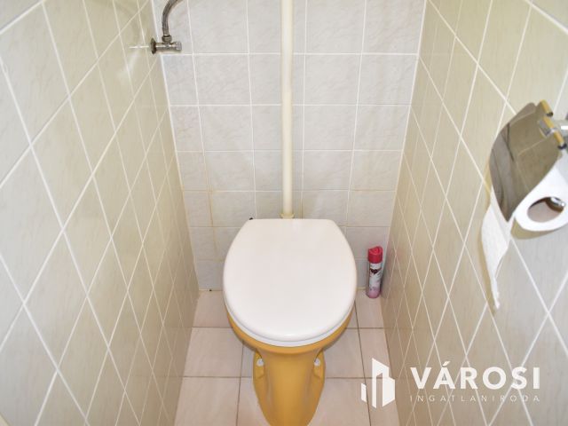 Két generációs családi ház a románvároson!