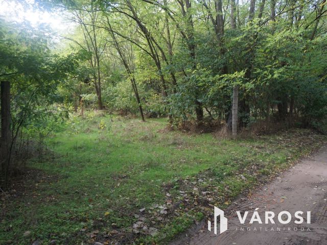 Budapesttől 16 km-re erdei környezetben tanya eladó