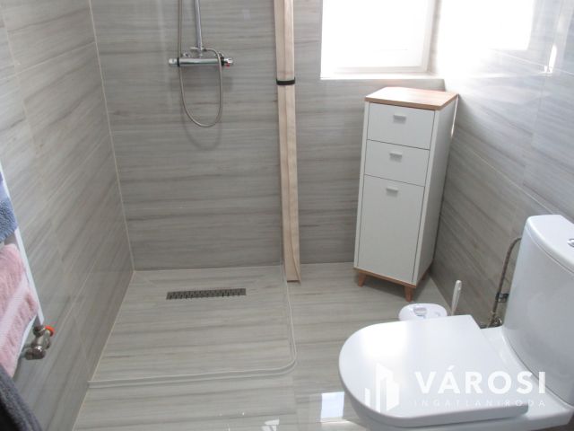 Új építésű nagy családi ház tágas telekkel