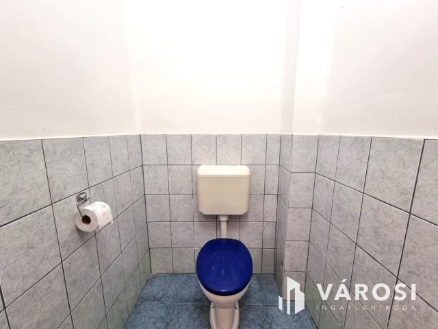 Vízpart közeli telken, kiváló szerkezetű tégla ház eladó