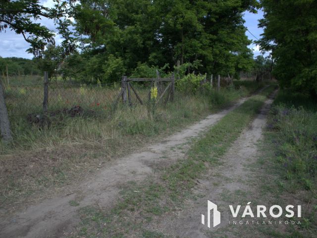 Sándorfalvi zárt kert