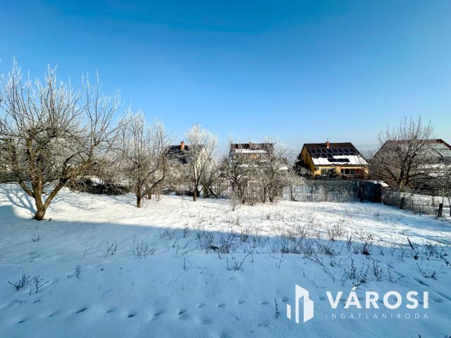 Frigyes krt.-on felújítandó ikerház eladó!