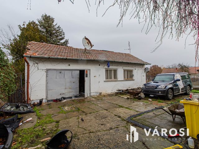 Méretes telek a füvészkert közelében