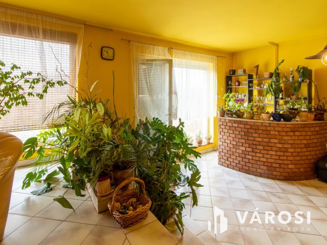 Nagycsaládosok álma – Sárisápi családi otthon 4 hálószobával