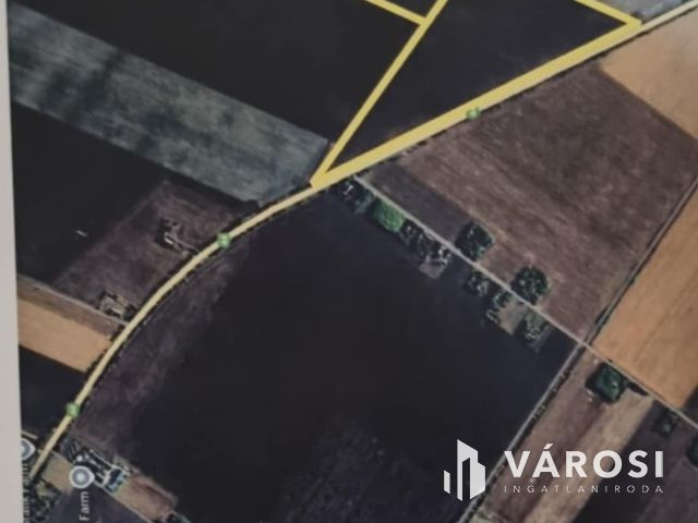 Kiváló minőségű termőföld Kondoros határában