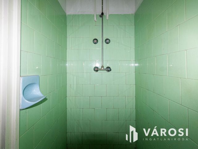 Medgyesbodzás fő utcáján ingatlan eladó