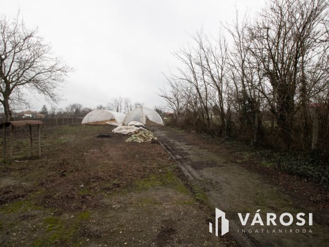 Medgyesbodzás fő utcáján ingatlan eladó