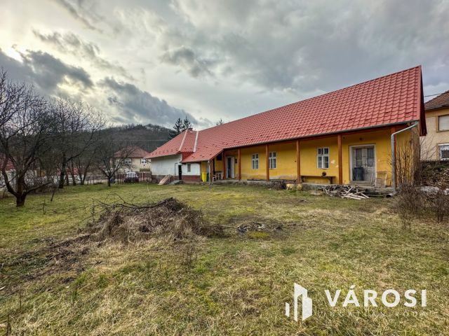 Főútvonal mellett, vállalkozásra alkalmas családi ház eladó!