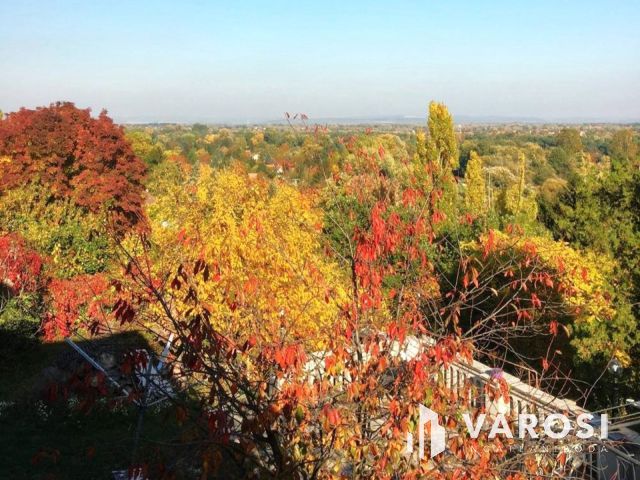 Dunai panorámás villa ősfás parkban Szentendrén