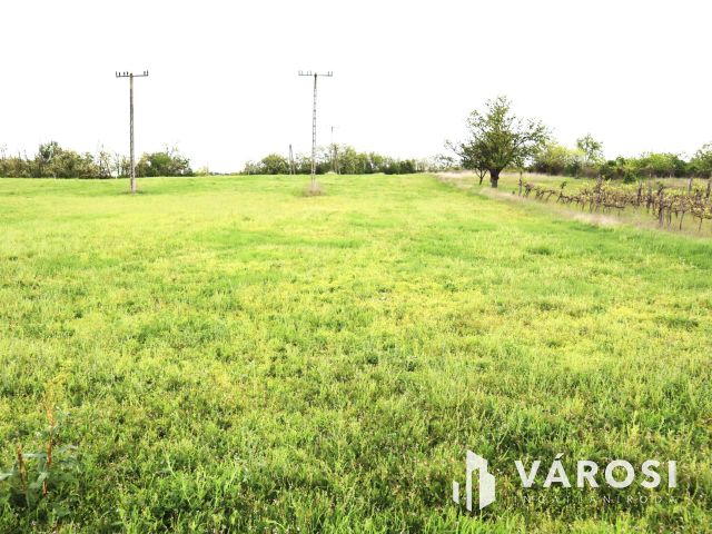 Építési telek Kőröshegyen eladó