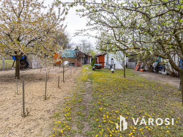 Művelés alól kivont zártkert, Szentmártonkátán eladó