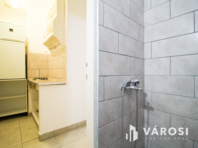 Parkra néző garzonlakás kiadó Óbudán