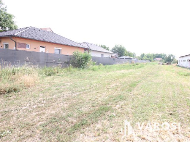 Az álom megvalósítása